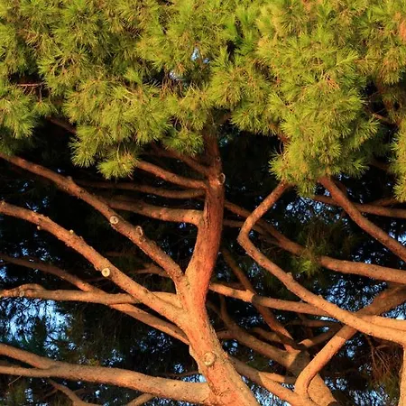 Les Mouettes - Teritoria Hotel