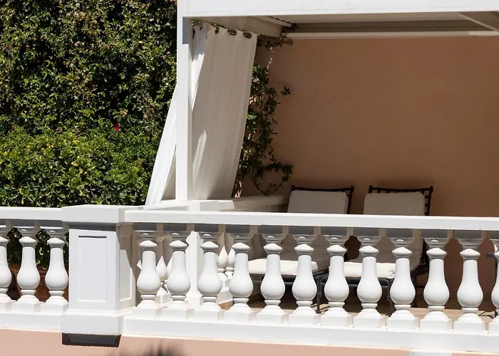 Les Mouettes - Les Collectionneurs