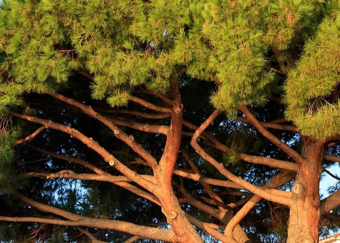 Les Mouettes - Teritoria 호텔