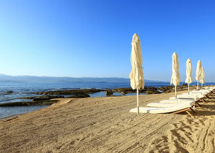 Les Mouettes - Les Collectionneurs